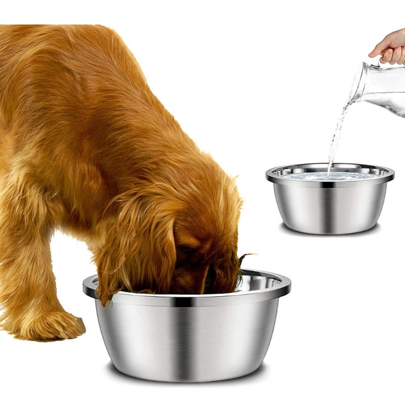 Royal Canin Food Medium - Paslanmaz Çelik Köpek Besleyiciler 20 cm
