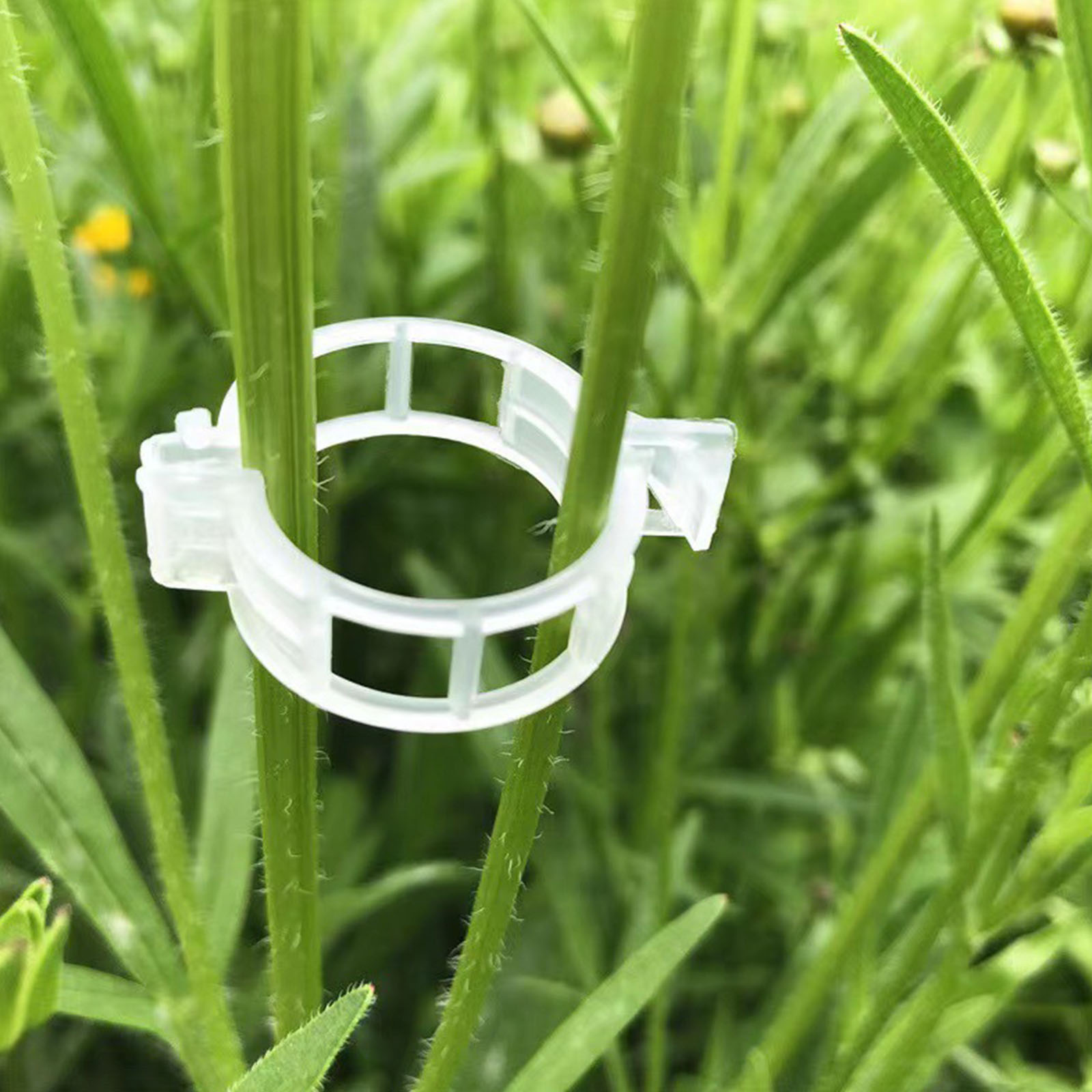 Vine Climbing Plastic - Bahçe Klipslerini Sabitlemek İçin Güvenli Plastik