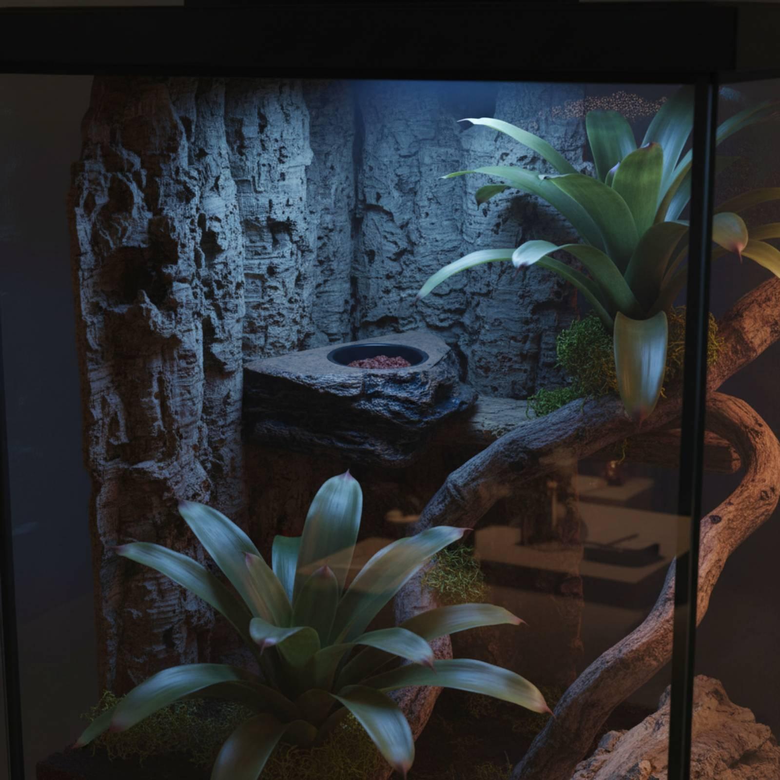 Gecko Mama ve Su Rafı Ayarlana - Water Dish Reptile incelemesi ve fiyatı