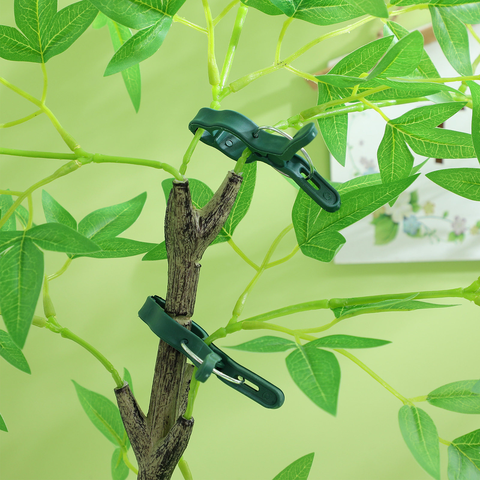 50 Adet Bitki Destek Kelepçesi - Vine Climbing Plastic incelemesi ve fiyatı